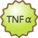 TNFα
